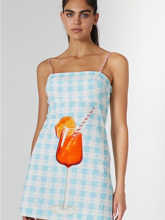 Lisa Says Gah Dresses & Skirts - Lisa Says Gah Blue Gingham Mini Dress with Orange Drink Print